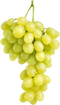 Grape De Raisin Blanc